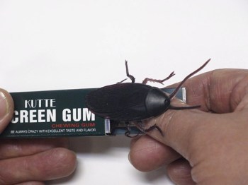 いたずらグッズ【ドッキリガム】