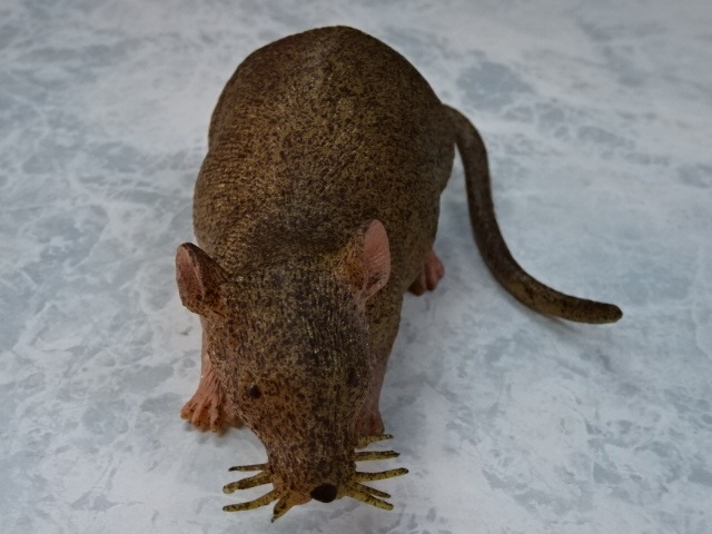 イタズラジョークグッズ・ゴムのネズミ&ゴキブリのおもちゃセット