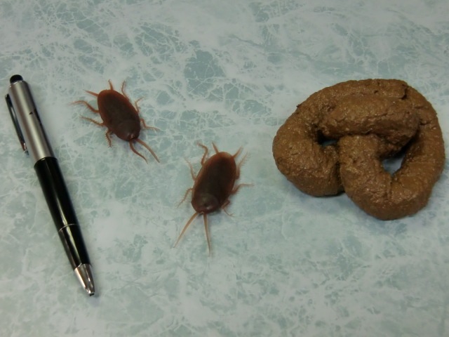 売れ筋いたずらグッズセット・ショックペン・ゴムゴキブリ・うんちくん野菜