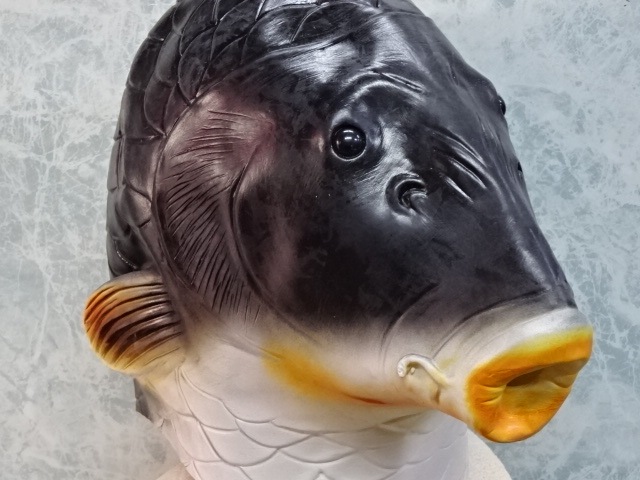 魚の被り物・フルフェイス「鯉のマスク」。珍しい魚のマスクです。