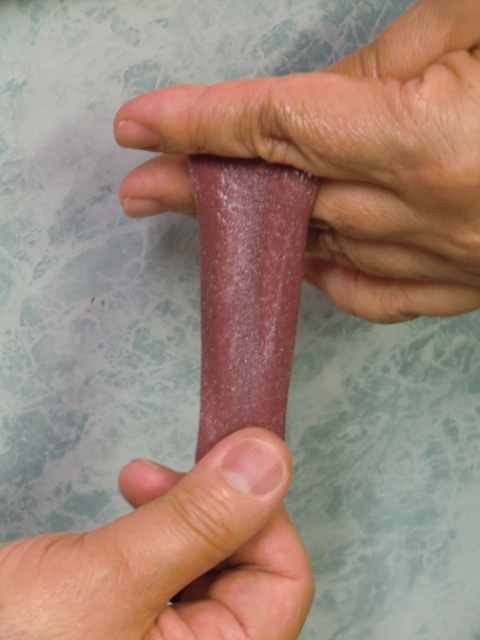 ジョークグッズ・リアルな舌