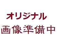 ◆シリコンフィメールマスク・アンネリーゼ(ブレスト付)、ROANYER Anneliese with Breast