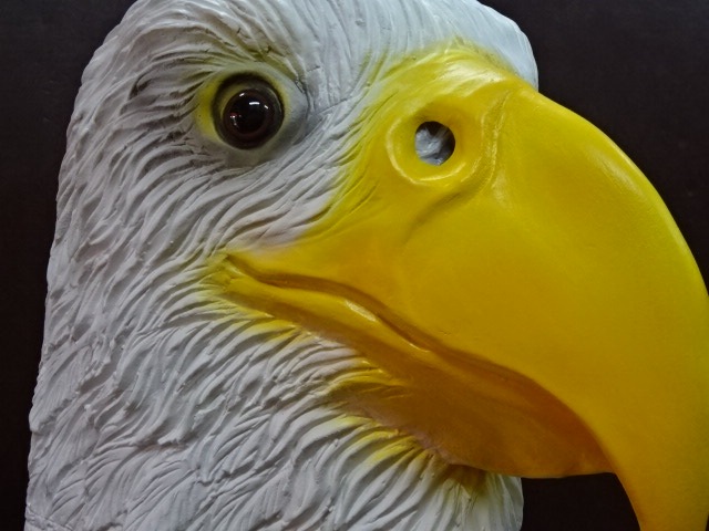 鷲の被り物、鷹の被り物？リアルタイプ、イーグルマスク