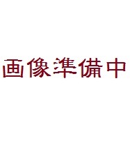 ◆シリコンフィメールマスク・New ローレル、Roanyer社製