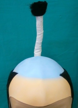 時代劇・DX殿様かつら