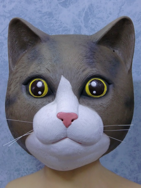 猫のかぶりもの・子猫