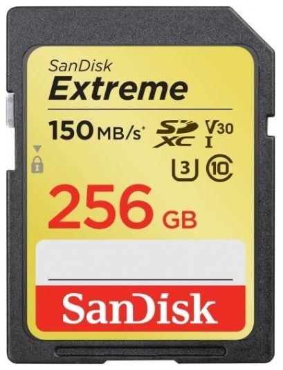 SDSDXV5-256G-GNCIN ڥͥݥ ޤǡ