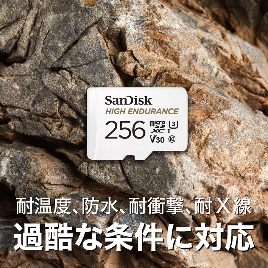 SDSQQNR-256G-GN6IA ڥͥݥ6ޤǡ