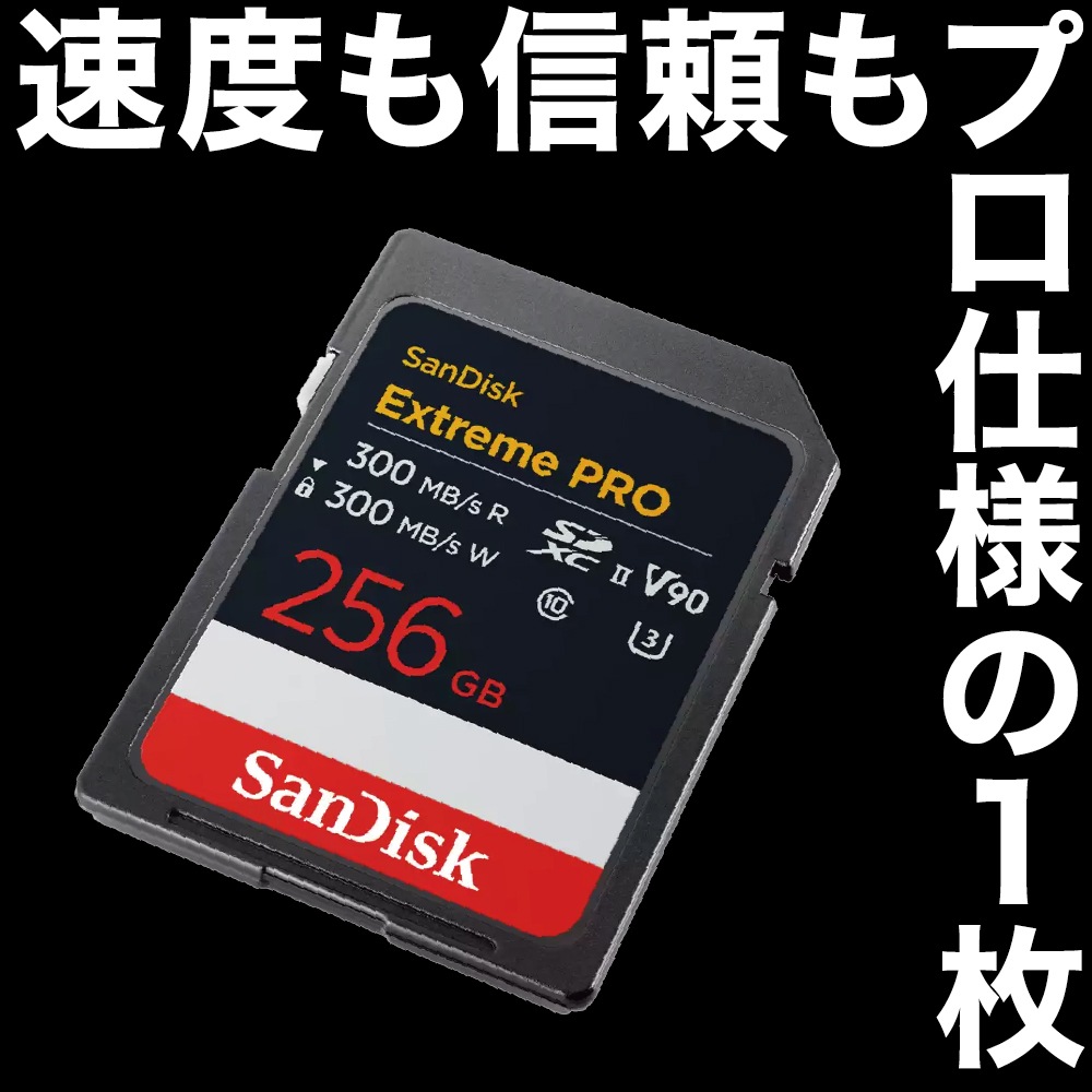 SDカード｜256GB｜SanDisk サンディスク｜Extreme PRO SD UHS-II