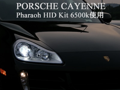 �ե��饪 NEW HID���å� H1 6500����ӥ� ���ڤ�ٹ�������󥻥顼��¢