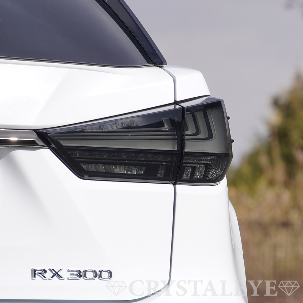 20�� �쥯����RX ����������⡼�������� LED�ơ������ ����/����б� 