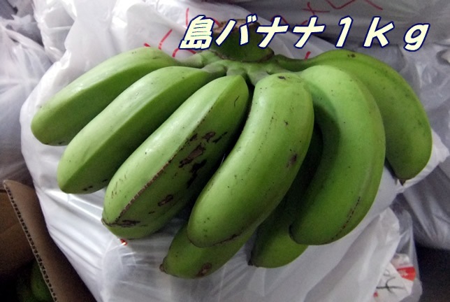 ǻ�������꡼�ߡ������� ���컺����Хʥ� ��5����ȯ�����֡�7���10��20���ޤǡ�