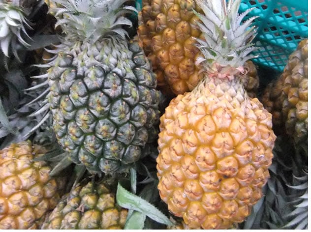 �����äƿ��٤뿷�����ѥ��� ���컺�����ʥå��ѥ��� ��1.5����1��3�ġ� ����̵�� ���줫��λ���ľ�� ��ȯ�����֡�6���8����ܤޤǡ�