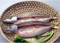 安心・旨い 近海物!無添加! 沼津のひもの・かます 約500g(約5〜7枚)