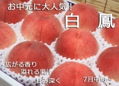 ��������︺�����������ݡ�������Ի��� �������������˱�ʲ����ѡ���Ȣ ��3.5kg�����ȯ��������7����ܺ���7��ܺ��ۢ����ڤ����