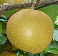 ������Ի��ѡ�̵�� ���������ݤ�����Ť� ���縩 ��ε�Ф�����˭�� ��5����ȯ��������9���ܺ���9��ܺ��ۡڻ���ľ����