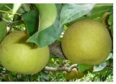 �Ť���������Ի��ѡ�̵�� ���������ݡ������ʼ� ���縩 ��ε�Ф��������� ��3����ȯ��������9���ܺ���9����ܺ��ۡڻ���ľ����