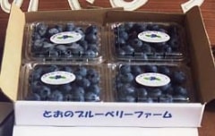 �ڴ��ָ�������۴��ֱ���פ������Ի��ѡ��֥롼�٥꡼��S����������600g��ȯ��������7���ܺ���8���ܺ���