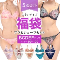 大きいサイズ レディース 下着 福袋 5点入り ブラジャー ショーツセット 上下セット ブラセット B85 B90 B95 C85 C90 C95 D85 D90 D95 D100 E80 E85 E