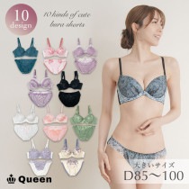 ブラショーツセット カップ別 Dカップ アンダー85 90 95 100 (j1-d)|2025年夏|新着