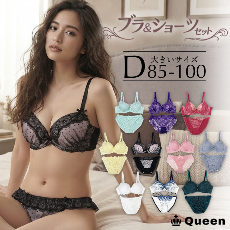 ブラジャー＆ショーツセット（Dカップ・アンダー85/90/95/100） (j2-d)