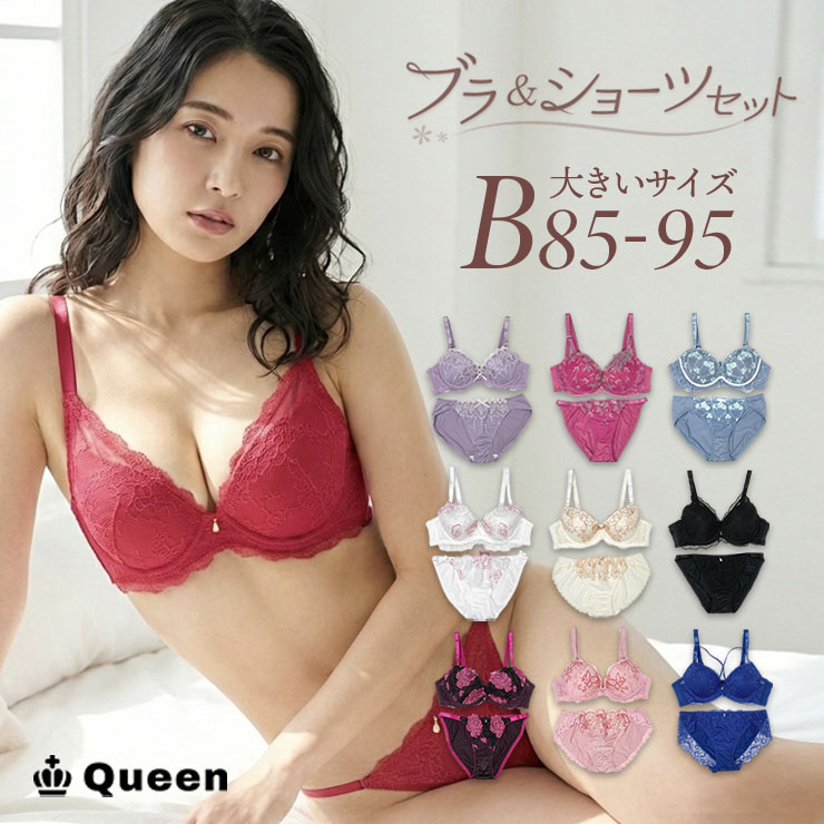 ブラジャーショーツセット （Bカップ アンダー85/90/95） (j3-b)