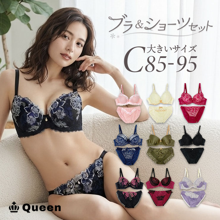 ブラジャーショーツセット （Cカップ アンダー85/90/95） (j3-c)