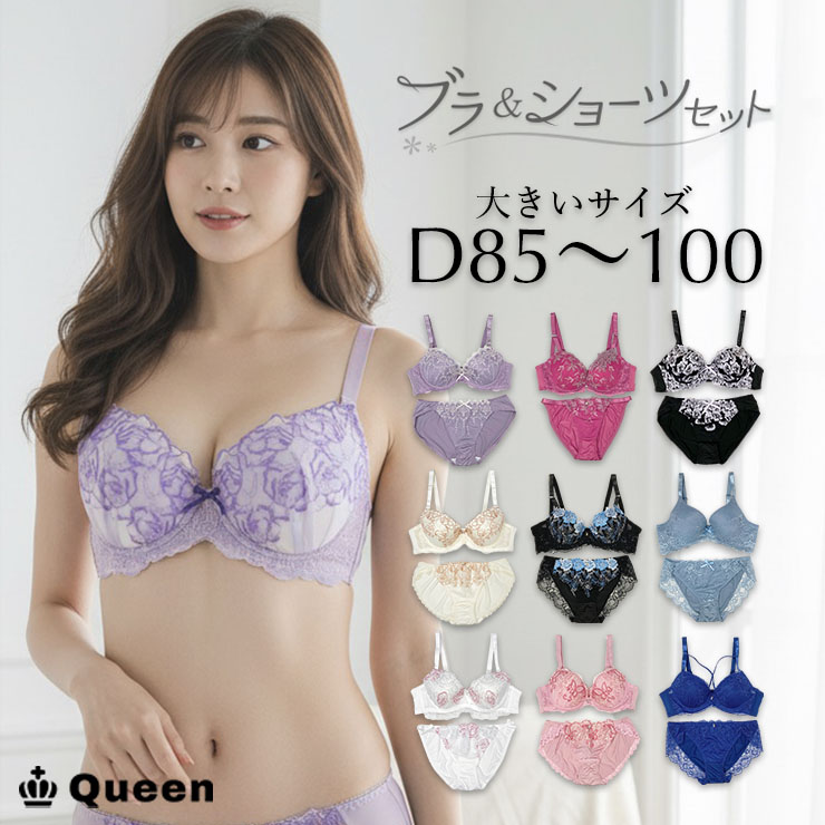 ブラジャーショーツセット （Dカップ アンダー85/90/95/100） (j3-d)