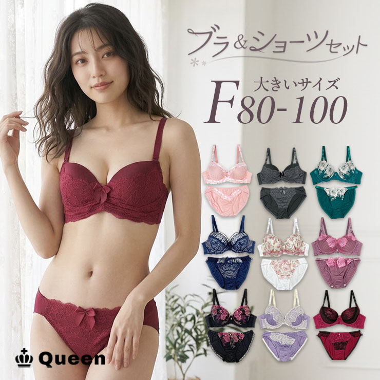 ブラジャーショーツセット （Fカップ アンダー80/85/90/95/100） (j3-f)