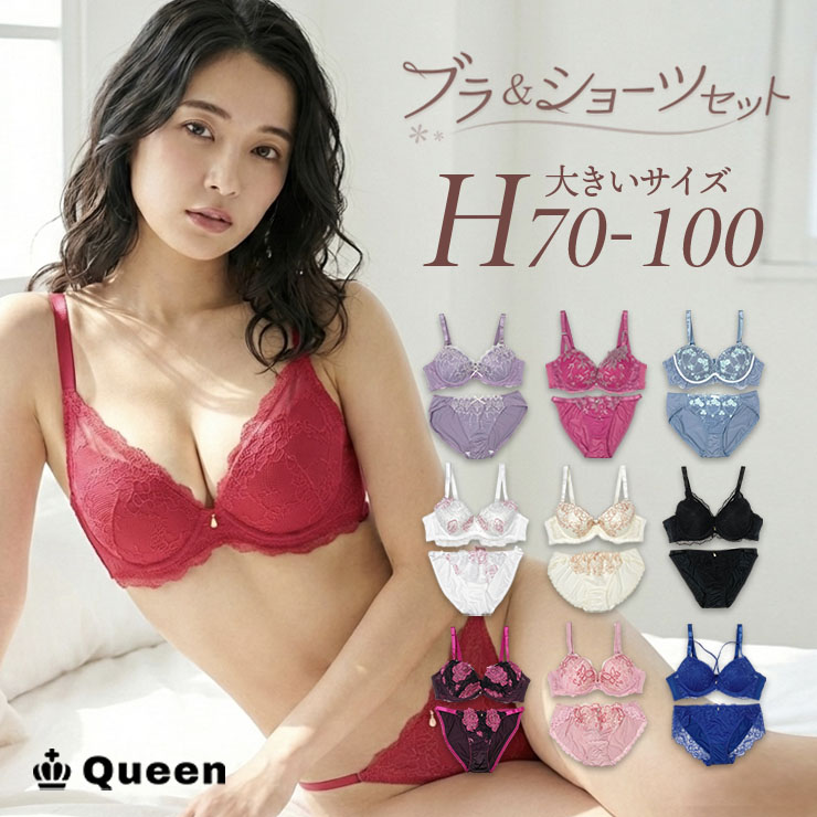 ブラジャーショーツセット （Hカップ アンダー70/75/80/85/90/95/100） (j3-h)