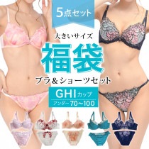 大きいサイズ レディース 下着 福袋 5点入り ブラジャー ショーツセット 上下セット ブラセット G70 G75 G80 G85 G90 G95 G100 H70 H75 H80 H85 H90 H