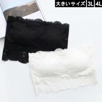 大きいサイズ レディース チューブトップ ブラトップ レース ストラップレス 3L 4L ブラック ホワイト 新入荷 ネコポス可 (226656）|2020年冬|新着