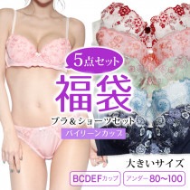 大きいサイズ ブラショーツセット 福袋 レディース ５点入り やわらかカップ 下着 B85 B90 B95 C85 C90 C95 D85 D90 D95 D100 E80 E85 E90 E95 E