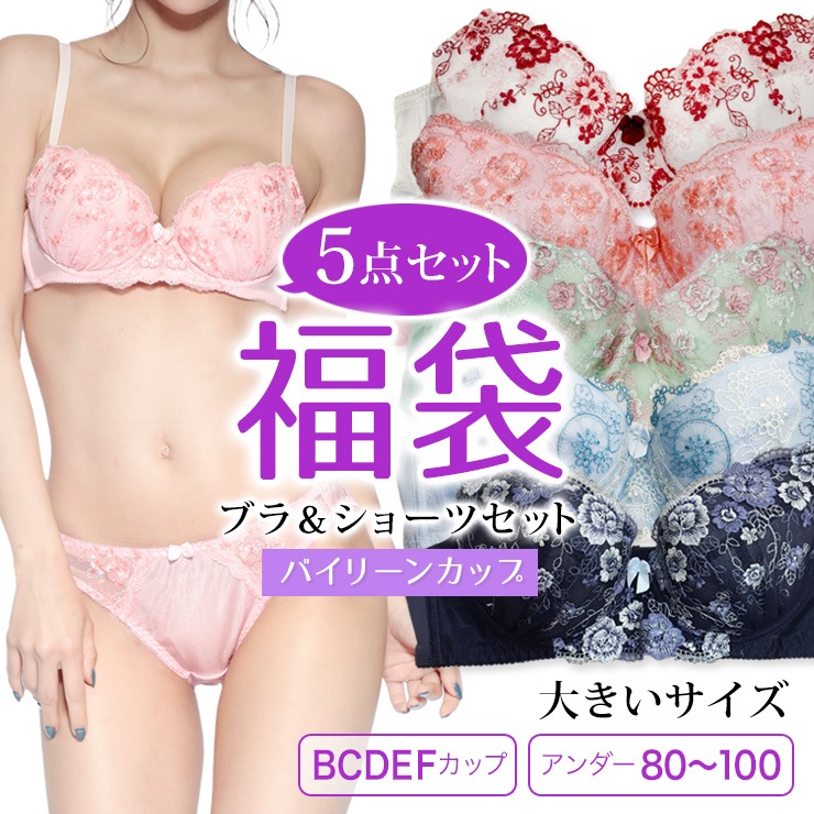 大きいサイズ ブラショーツセット 福袋 レディース ５点入り やわらかカップ 下着 B85 B90 B95 C85 C90 C95 D85 D90 D95 D100 E80 E85 E90 E95 E100 F80 F85 F90 F95 F100 メール便不可 (fukubura-5v)