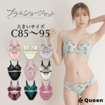 大きいサイズ ブラショーツセット レース モールドカップ C85 C90 C95 (j3a-c)|【削除】カップ別ブラ＆ショーツ|下着