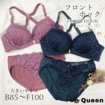 大きいサイズ フロントホックブラジャー ショーツセット 上下セット ブラセット バッククロス レディース 下着 グラマーサイズ (nf3480-1)