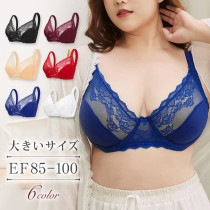 フルカップ風レースブラジャー（EFカップ共通 アンダー85〜100） (b2003)|2025年秋|新着