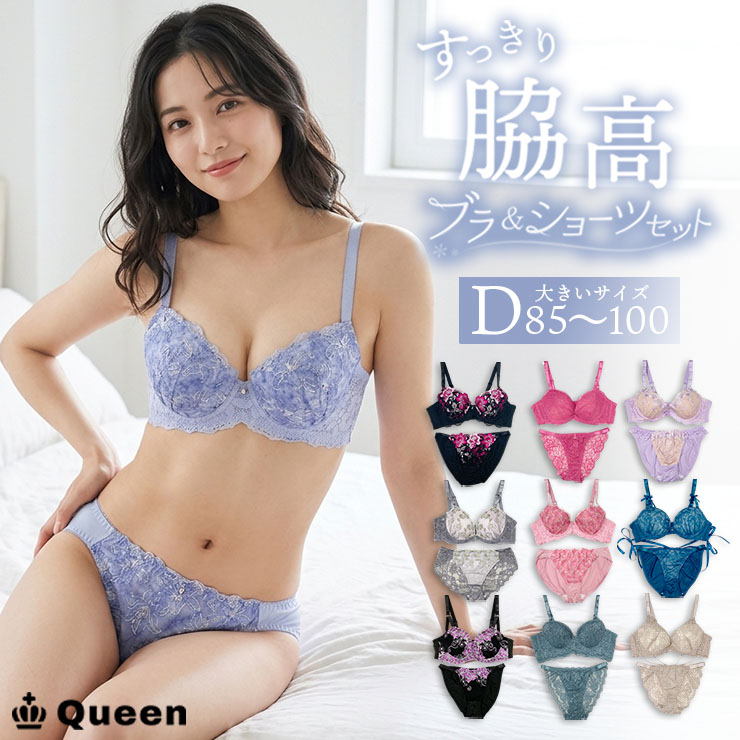 脇高ブラジャーショーツセット（Dカップ・アンダー85/90/95/100） (j5b-d)