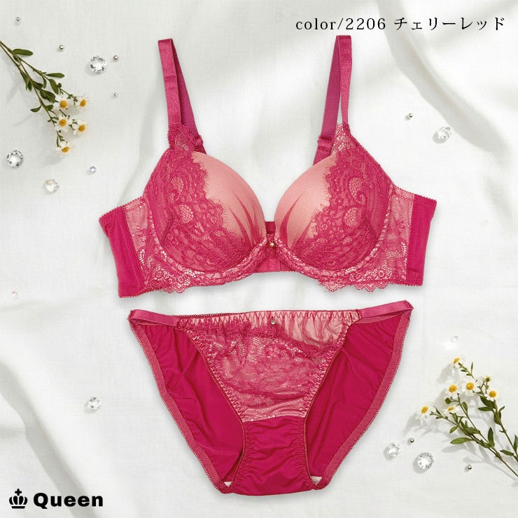 ブラジャー＆ショーツセット（Cカップ・アンダー85/90/95） (j2-c)