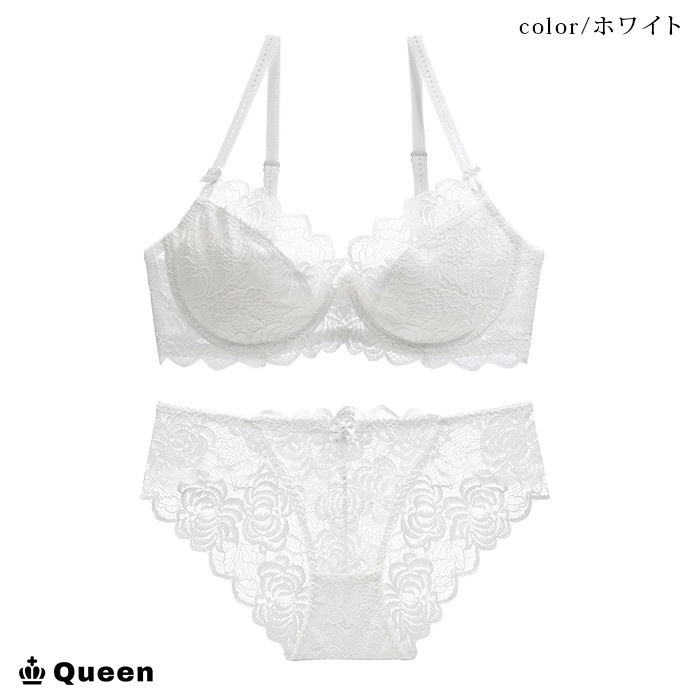 大輪フラワー刺繍レース透けブラショーツセット (b028)