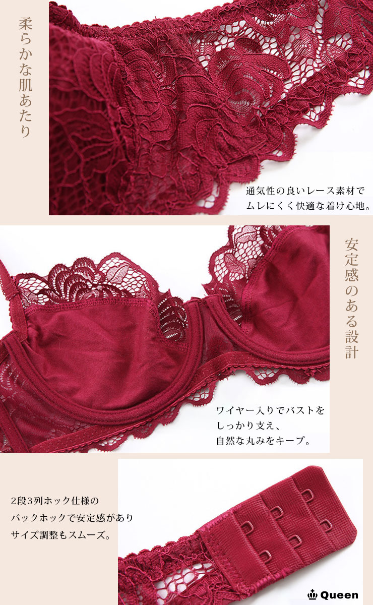 大輪フラワー刺繍レース透けブラショーツセット (b028)