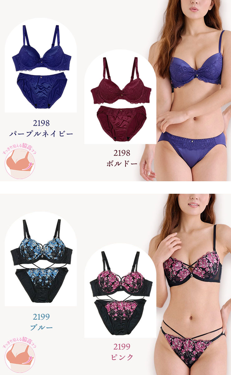 ブラジャー＆ショーツセット（Dカップ・アンダー85/90/95/100） (j2-d)