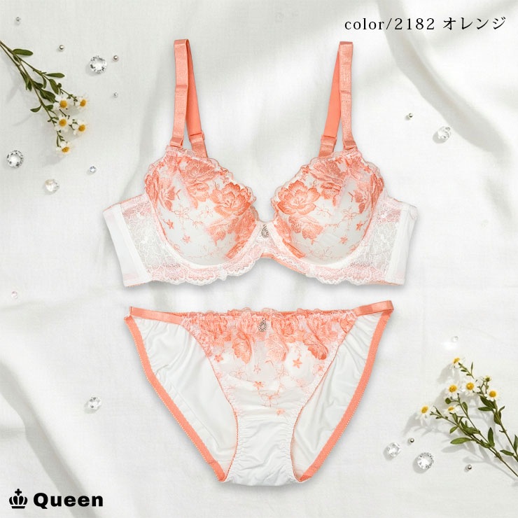 ブラジャー＆ショーツセット（Eカップ・アンダー80/85/90/95/100） (j2-e)