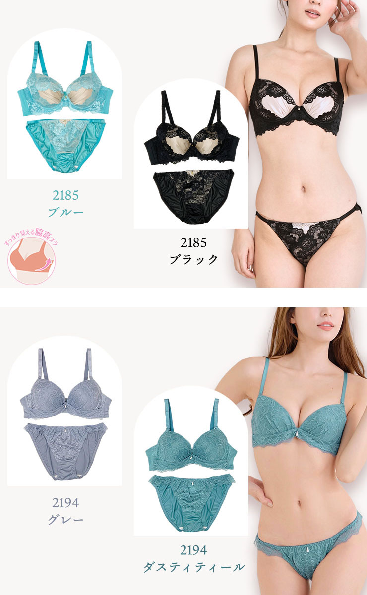 ブラジャー＆ショーツセット（Eカップ・アンダー80/85/90/95/100） (j2-e)