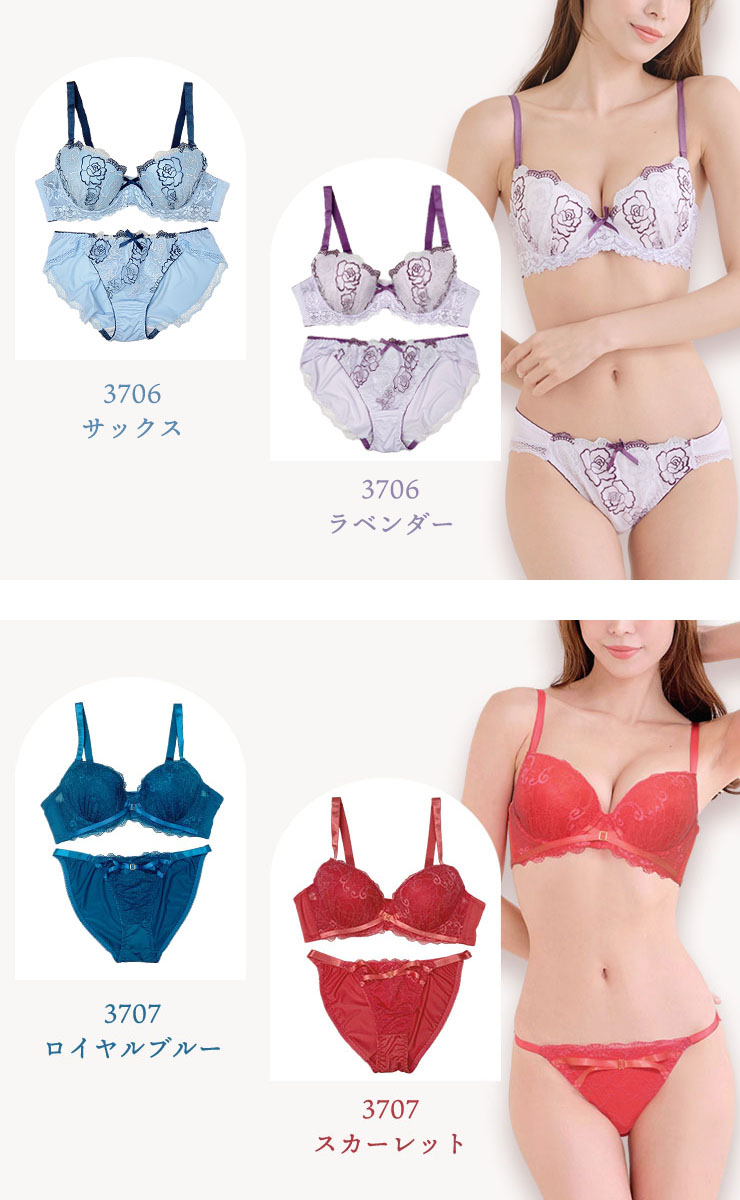 ブラジャーショーツセット（Dカップ・アンダー85/90/95/100） (j3a-d)