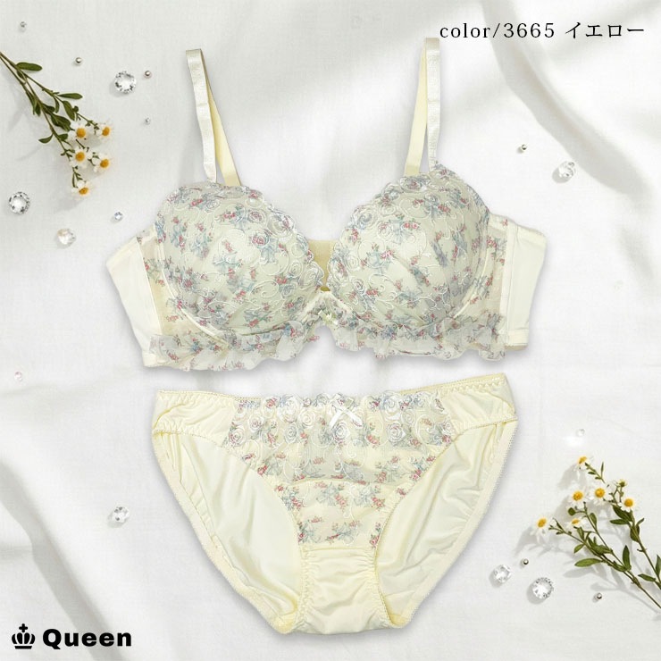 ブラジャーショーツセット（Cカップ・アンダー85/90/95） (j3b-c)