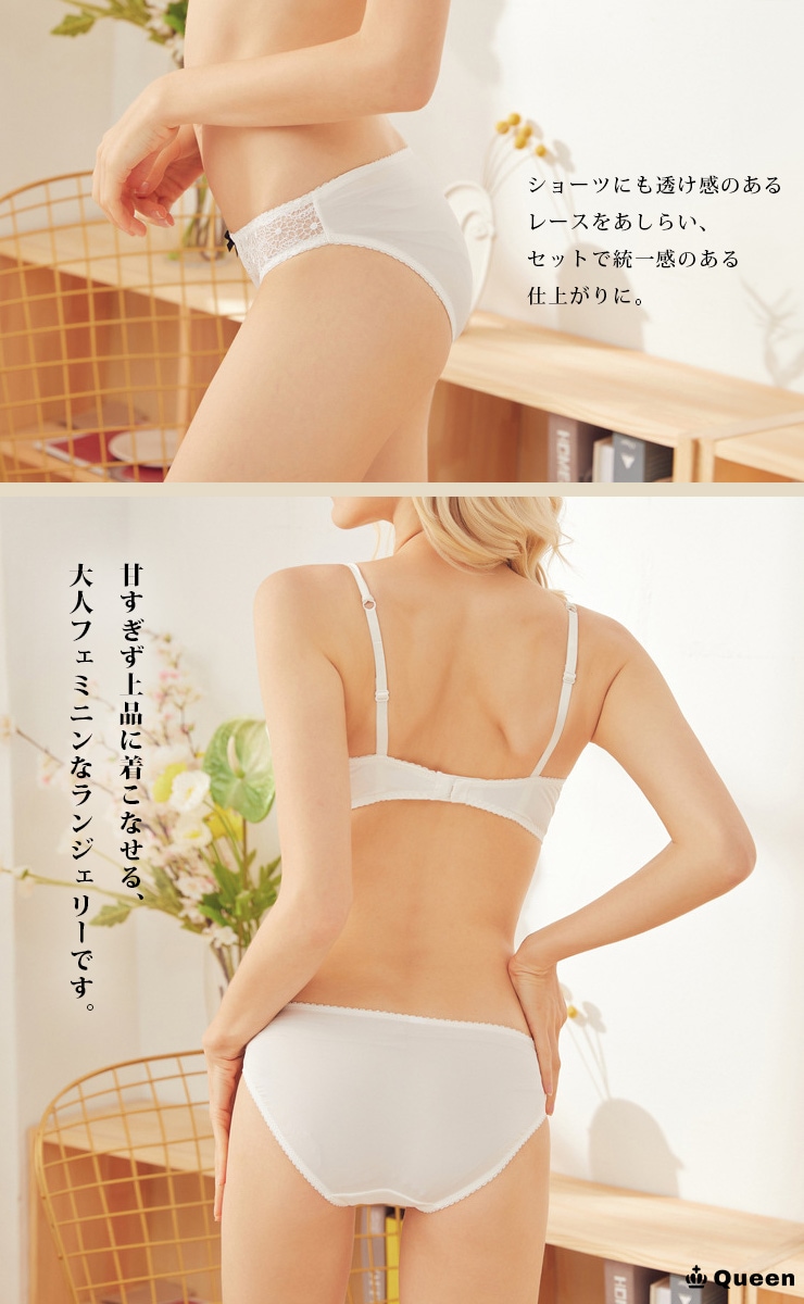 レースWストラップハーフカップブラショーツセット(B80-D95) (b006)