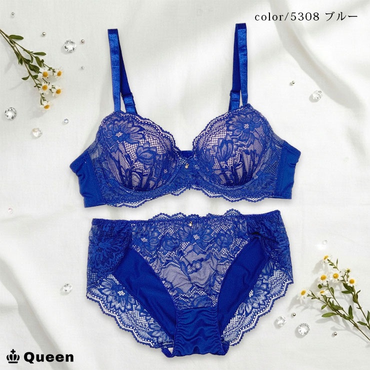 脇高ブラジャーショーツセット(Dカップ・アンダー85/90/95/100) (j5b-d)