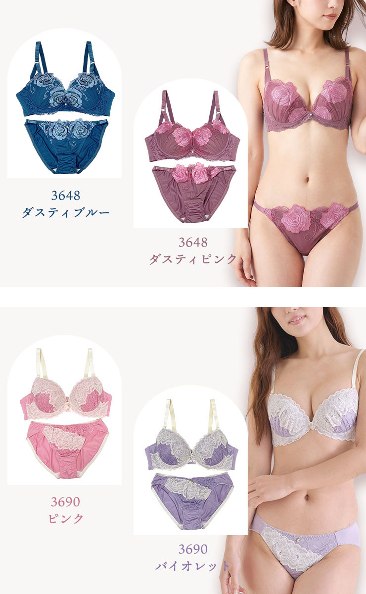 ブラジャーショーツセット (Cカップ アンダー85/90/95) (j3-c)