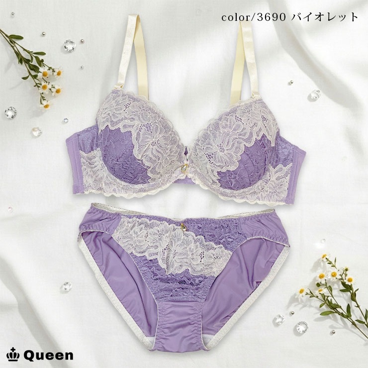 ブラジャーショーツセット (Eカップ アンダー80/85/90/95/100) (j3-e)